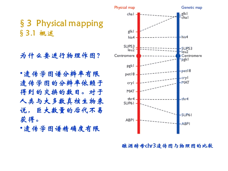 《物理图谱》PPT课件.ppt_第2页