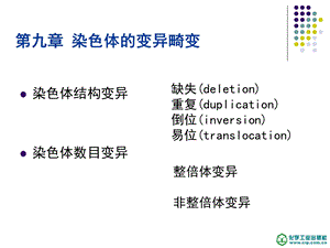 《染色体的变异》PPT课件.ppt