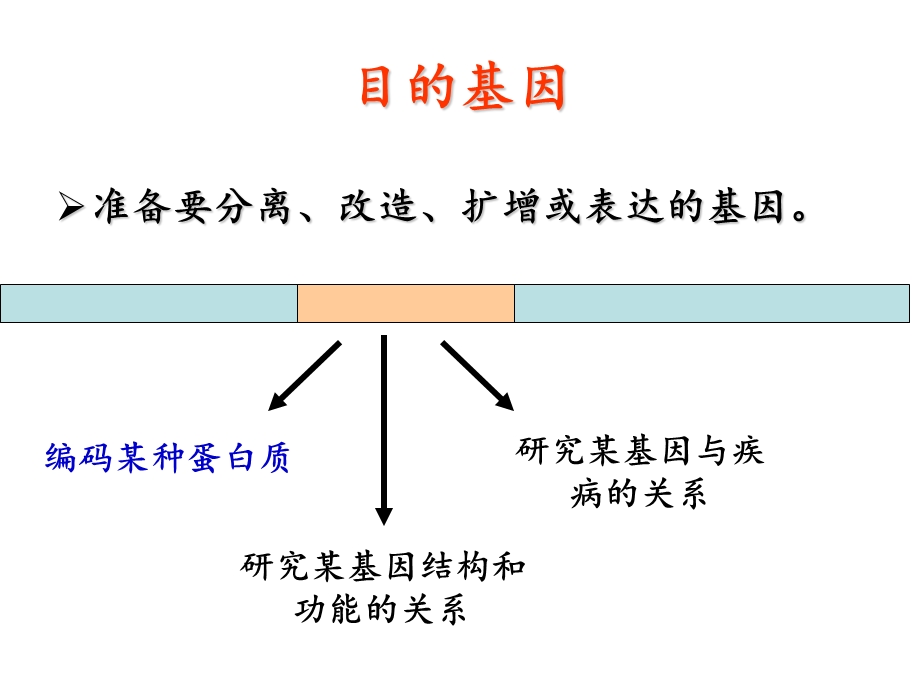 《目的基因获取》PPT课件.ppt_第2页