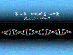 《细胞基本功能》PPT课件.ppt