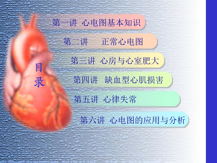 心电图学总课件.ppt_第2页