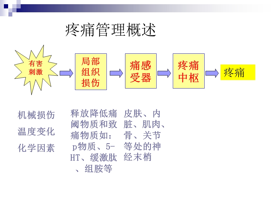 《护理疼痛管理》PPT课件.ppt_第3页