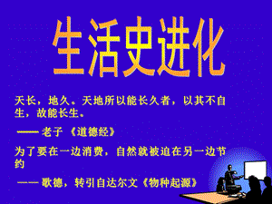 《生活史进化》PPT课件.ppt