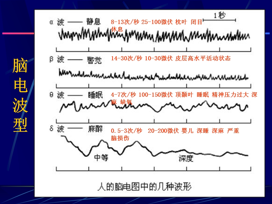 浙江大学医学院朱婉儿.ppt_第3页