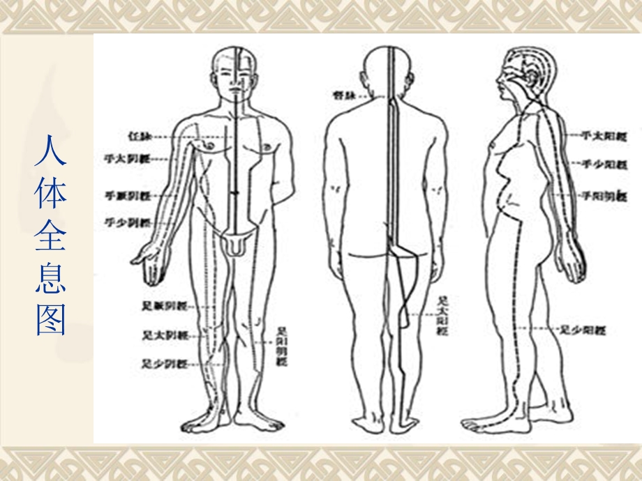 《经络与时辰》PPT课件.ppt_第2页