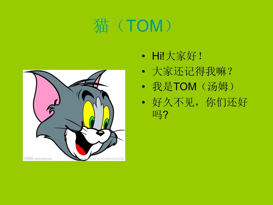 《猫和老鼠》PPT课件.ppt_第2页