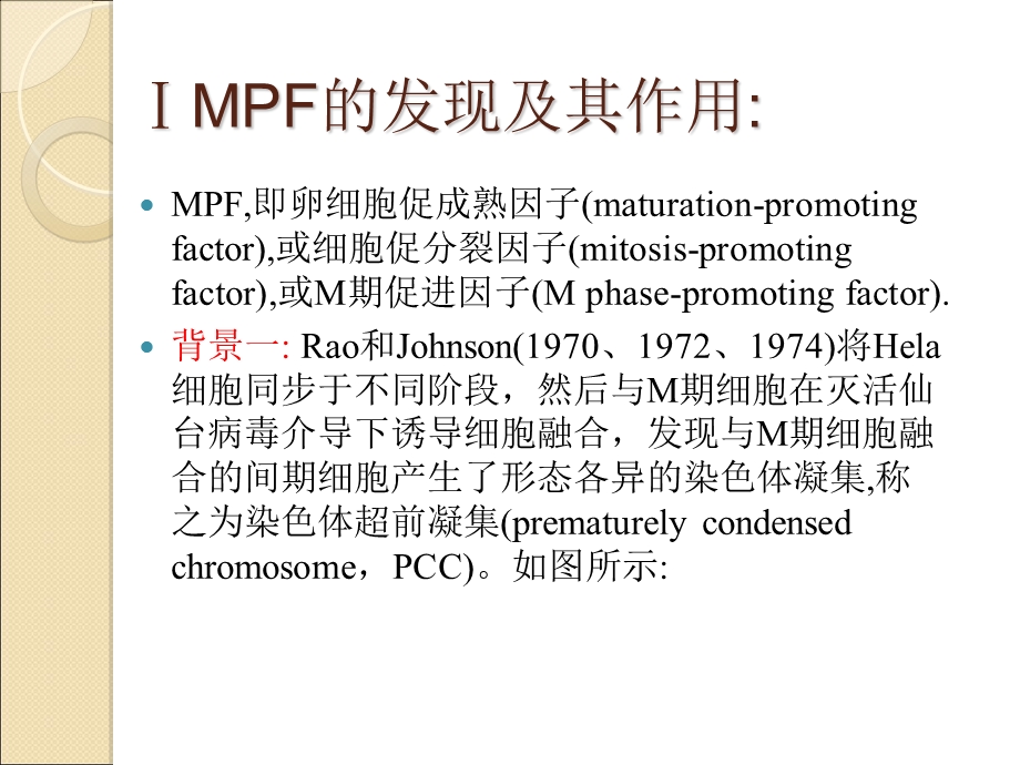 《细胞周期调控》PPT课件.ppt_第2页