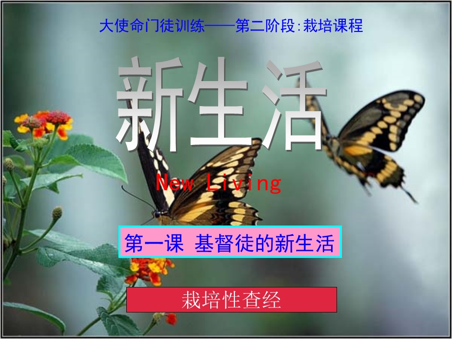 《新生活课程》PPT课件.ppt_第1页