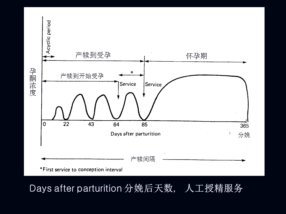 《繁殖生理》PPT课件.ppt_第3页