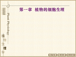 《植物细胞生理》PPT课件.ppt