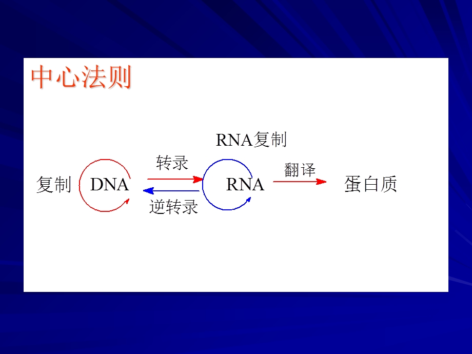 《基因信息传递》PPT课件.ppt_第2页