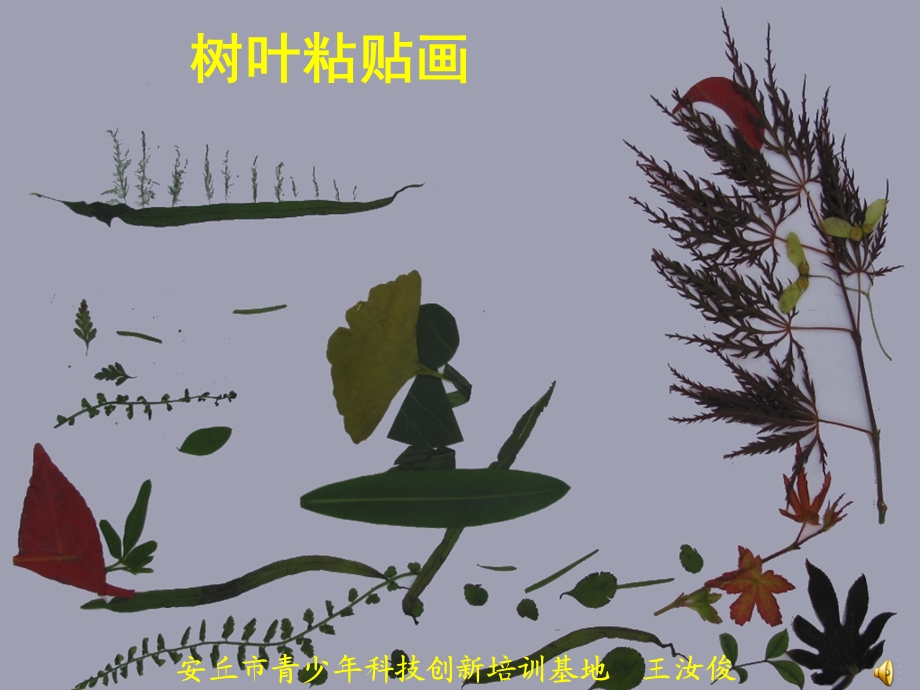 《树叶画的制作》PPT课件.ppt_第3页