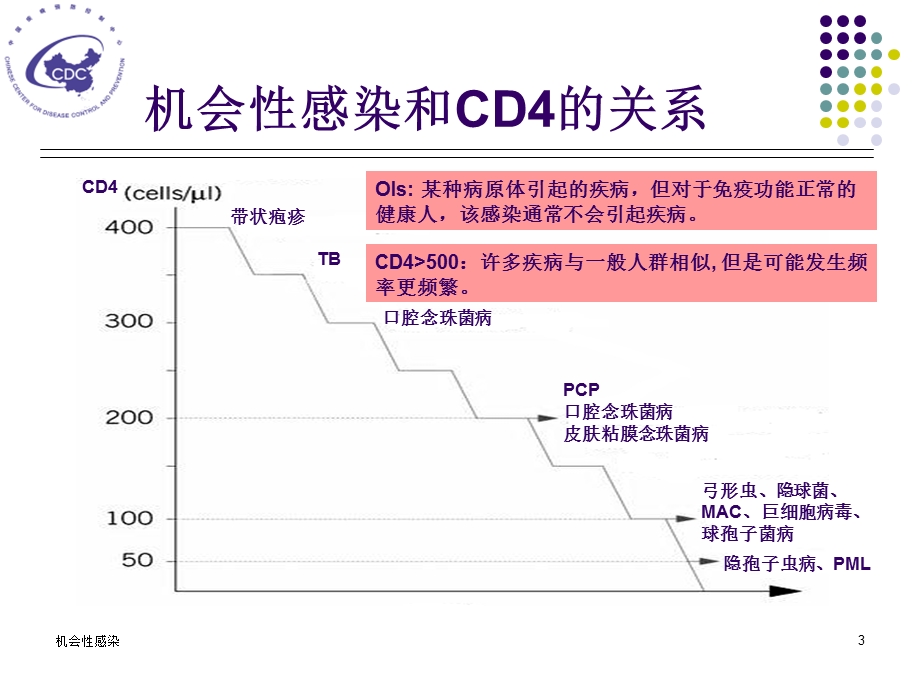 7机会性感染.ppt_第3页