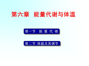 《能量代谢与体温》PPT课件.ppt