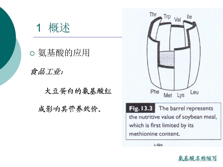 《氨基酸发酵工艺》PPT课件.ppt_第3页