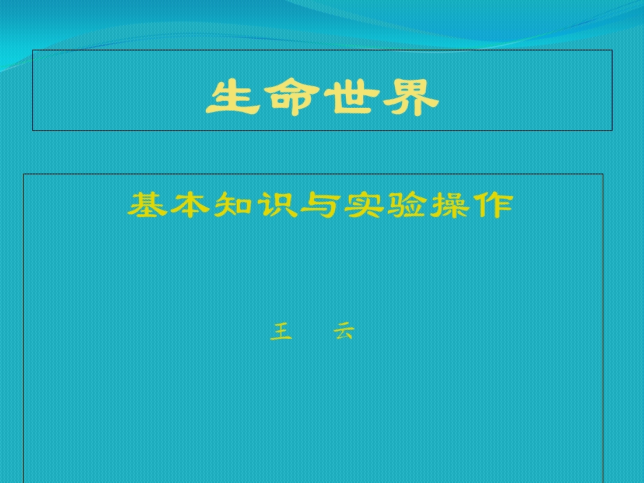 《生命世界》PPT课件.ppt_第1页