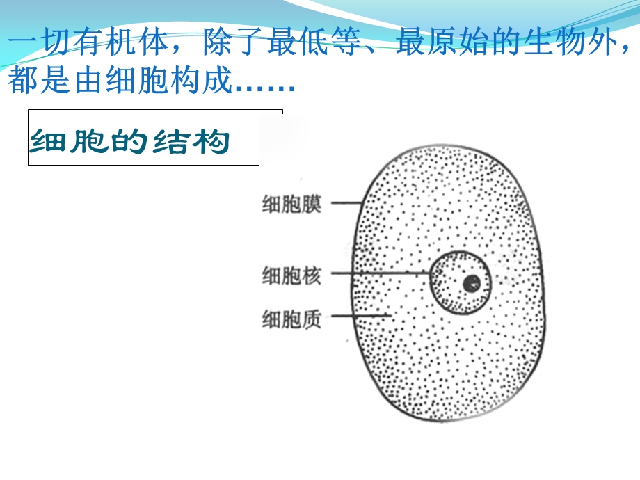 《生命世界》PPT课件.ppt_第3页