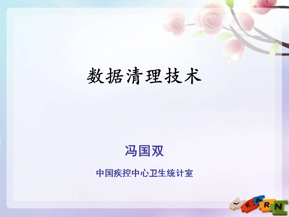 《数据清洗技术》PPT课件.ppt_第1页