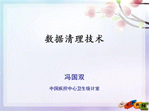 《数据清洗技术》PPT课件.ppt