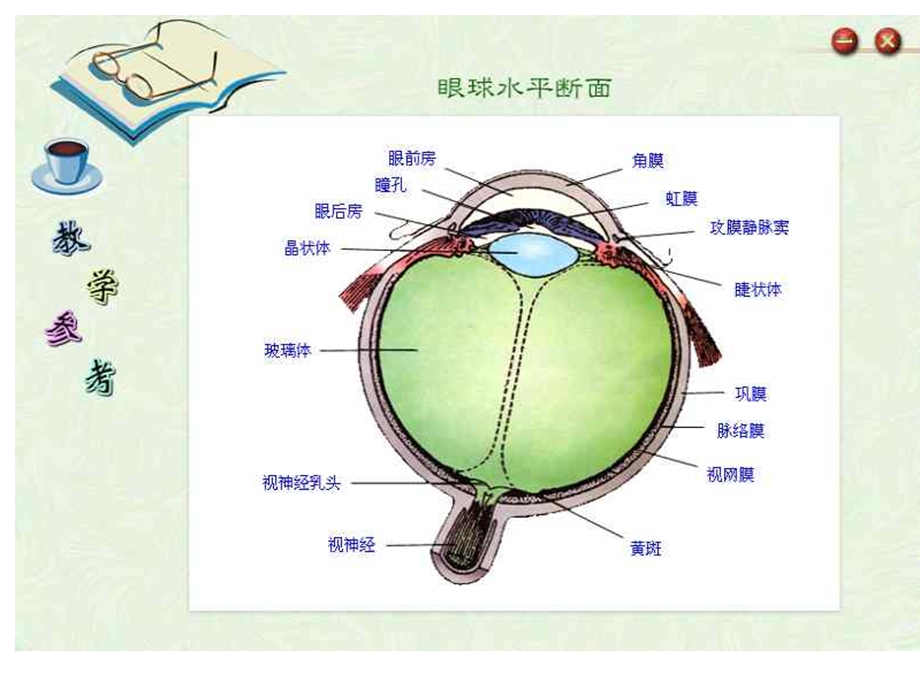 眼和视觉浙教版.ppt_第2页