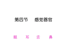 眼和视觉浙教版.ppt