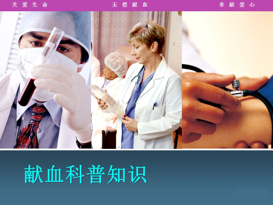 《献血类活动》PPT课件.ppt_第2页