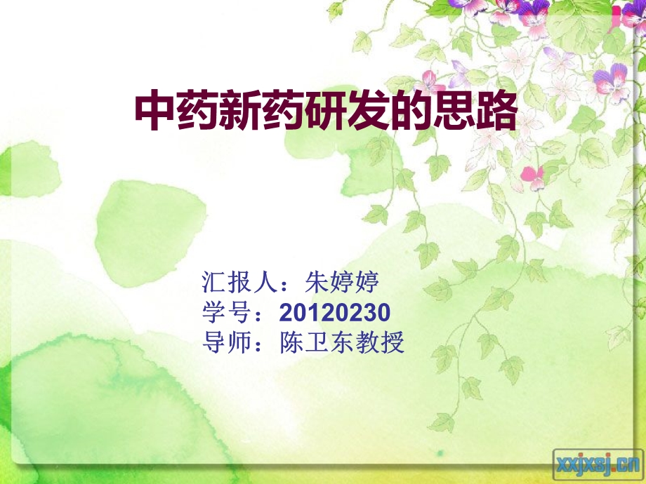 新药研发朱婷婷0230.ppt_第1页