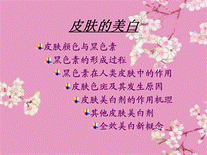 《皮肤的美白》PPT课件.ppt