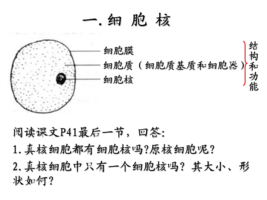 《细胞的类型和结构》PPT课件.ppt_第3页