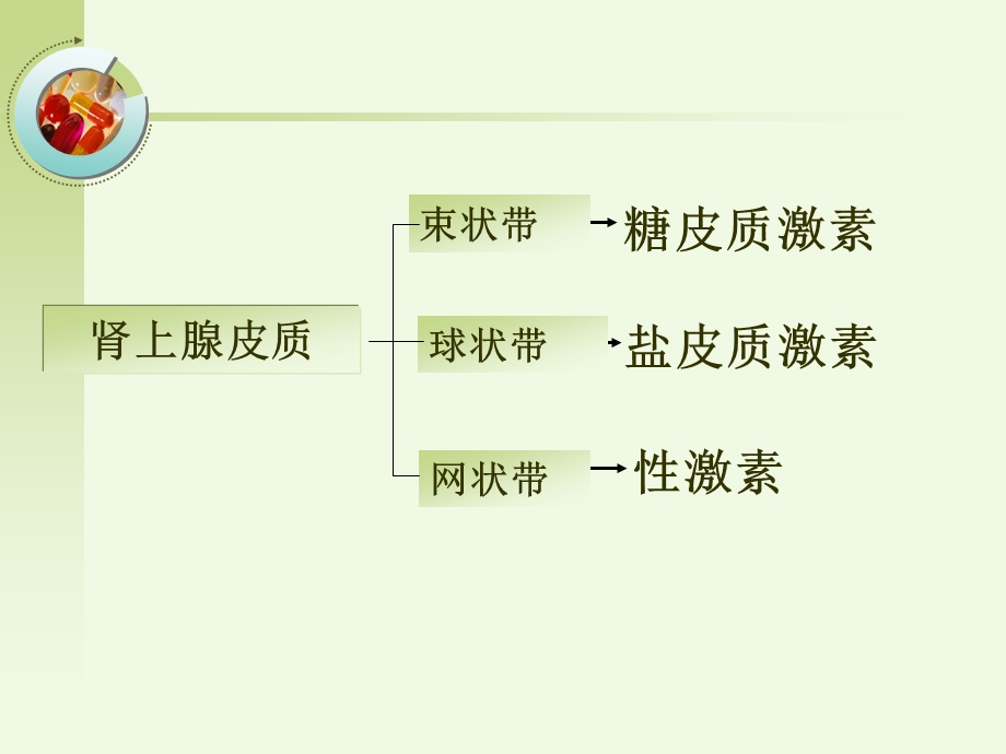 肾上腺皮质激素类药第30章.ppt_第3页