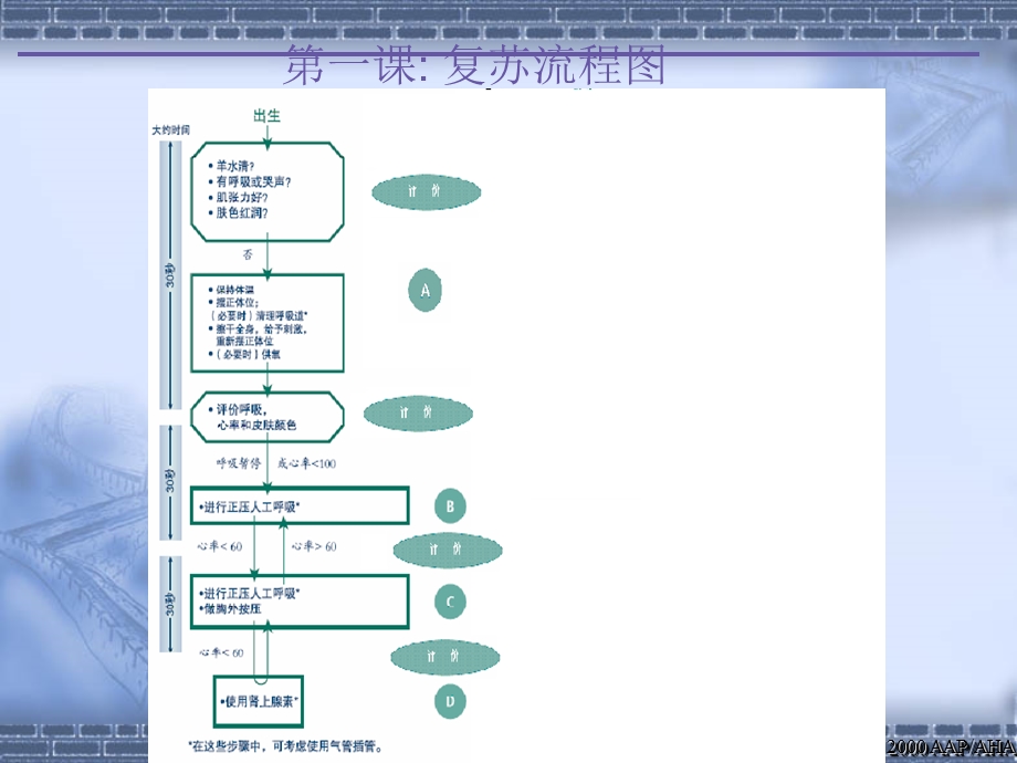 《生儿复苏新读》PPT课件.ppt_第3页