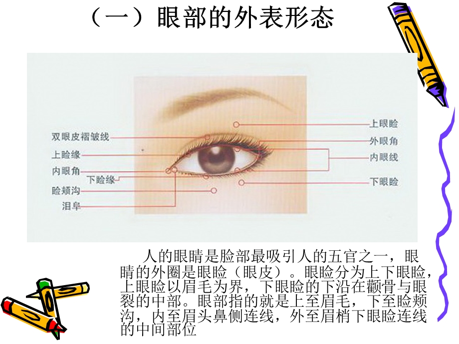 《眼部化妆技巧》PPT课件.ppt_第2页