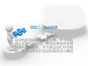 《牛羊解剖生理》PPT课件.ppt