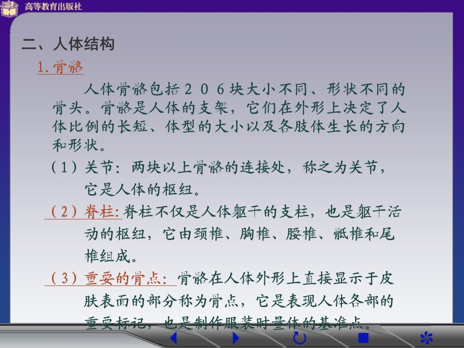 《服装人体特征》PPT课件.ppt_第3页