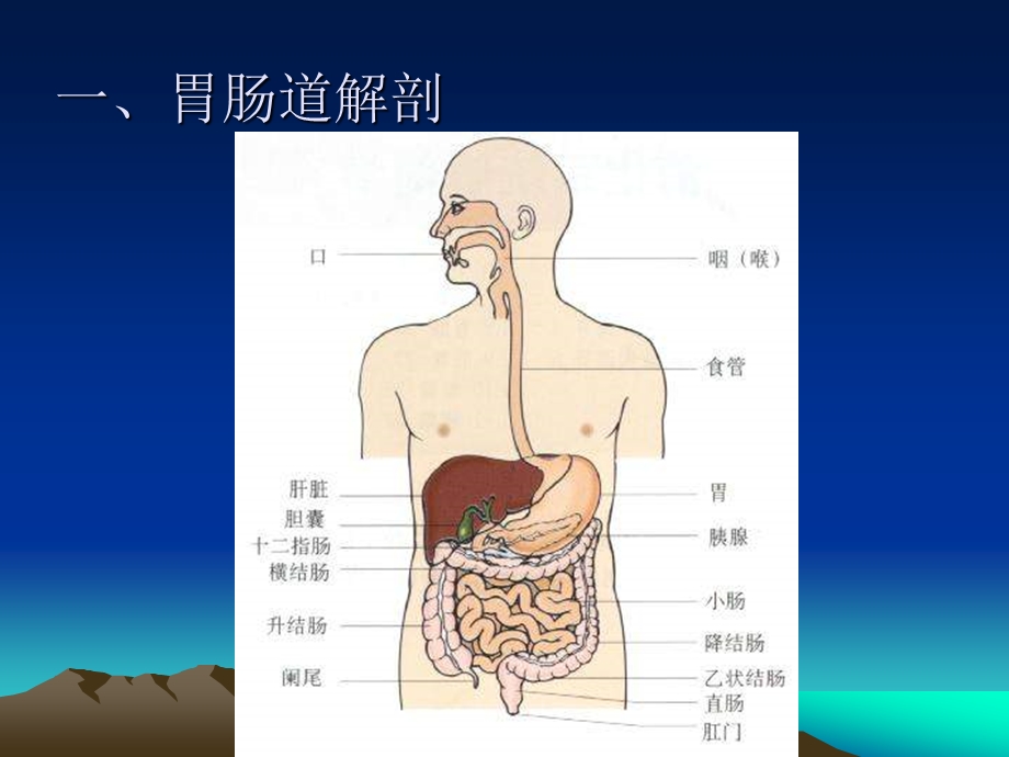 胃肠超声检查的临床应用NXPowerLite.ppt_第3页