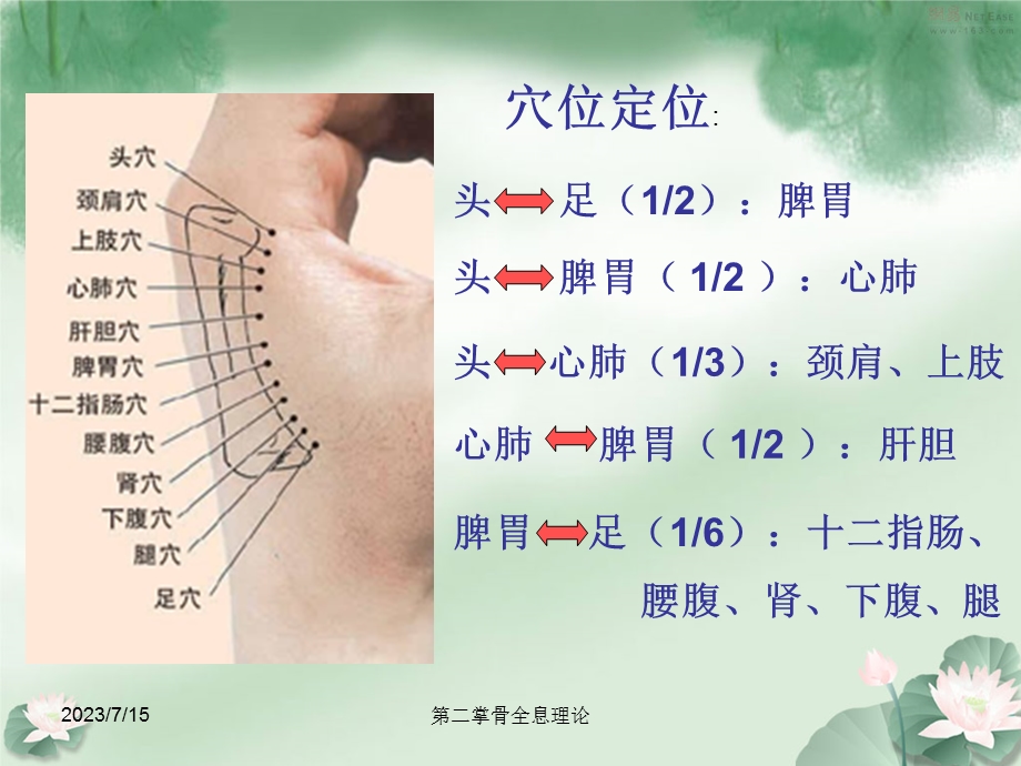 《掌骨全息理论》PPT课件.ppt_第3页