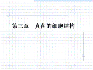 《真菌的细胞结构》PPT课件.ppt
