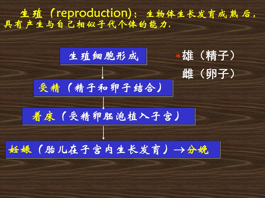 《生殖生理学》PPT课件.ppt_第3页