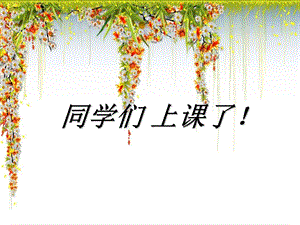 《水中芙蓉荷花》PPT课件.ppt