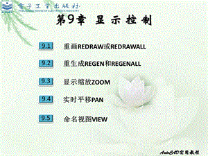 《显示控制》PPT课件.ppt