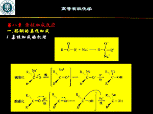 《羰基的亲核加成》PPT课件.ppt