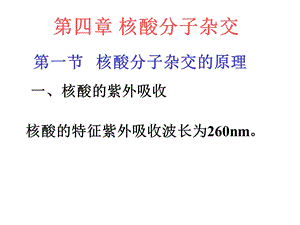 《核酸分子杂交》PPT课件.ppt