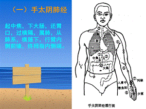 《美容推拿学》PPT课件.ppt