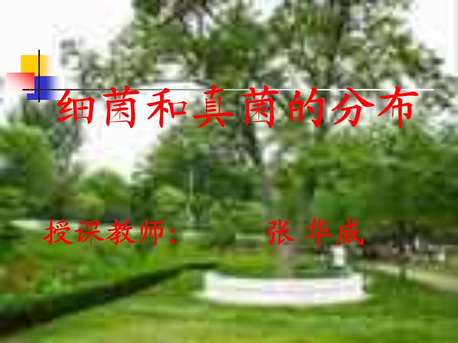 细菌和真菌的分布授课教师张华威.ppt_第1页