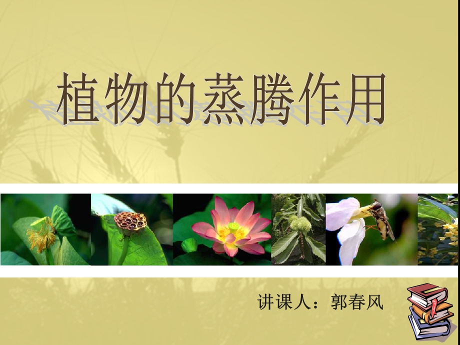 《植物的蒸腾作用》PPT课件.ppt_第1页