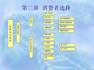 《消费者选择》PPT课件.ppt