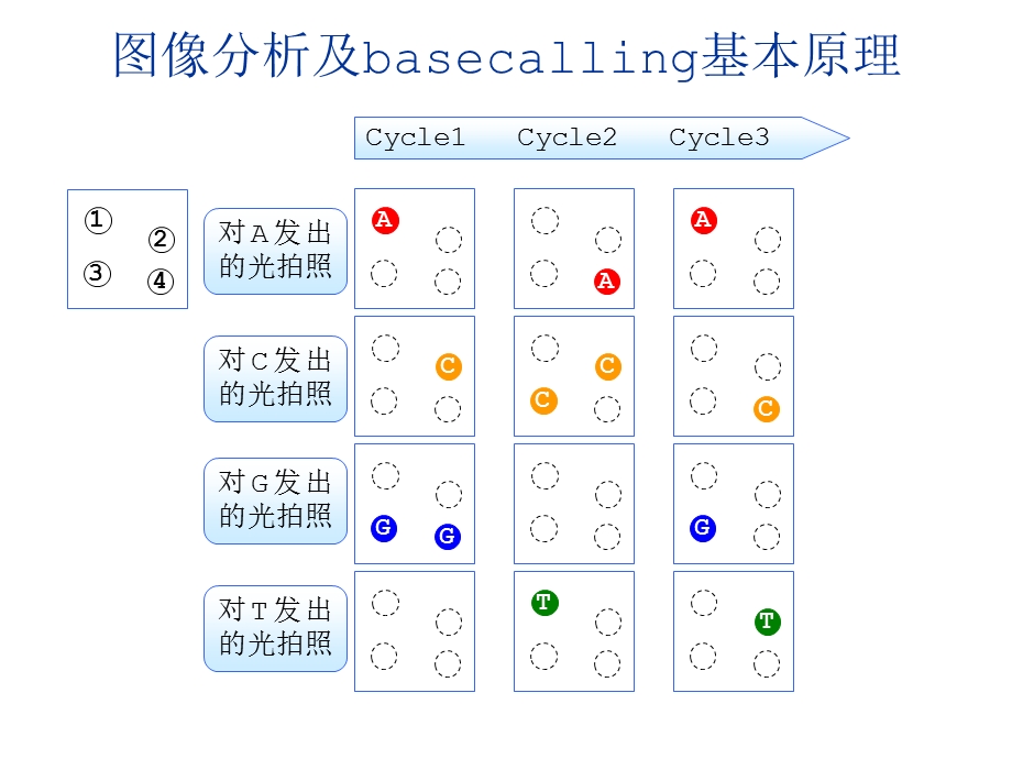 《数据处理流程》PPT课件.ppt_第2页