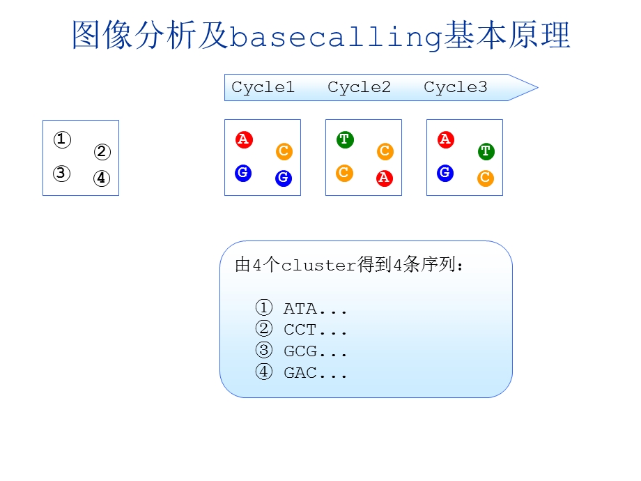 《数据处理流程》PPT课件.ppt_第3页