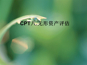 《无形资产评估》PPT课件.ppt