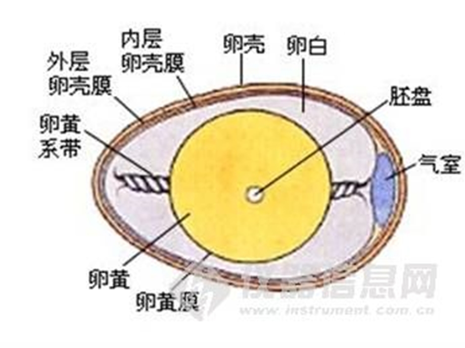 《报纸上的课外知识》PPT课件.ppt_第3页